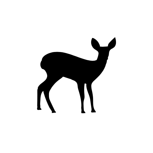 Reh