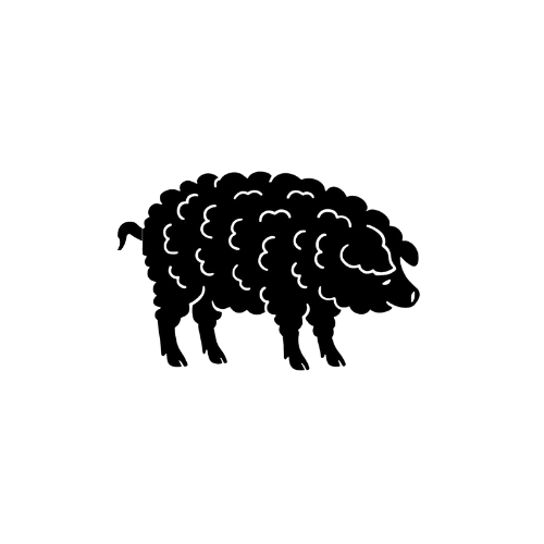 Wollschwein